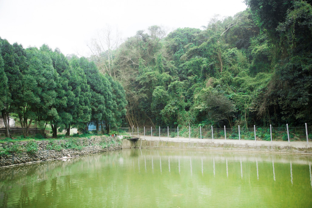 A pond preserved for making paper