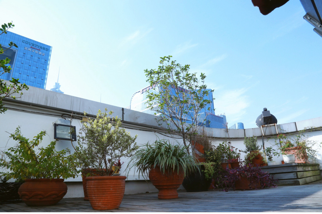 Used coffee grounds are sprinkled around plants on the balcony, where customers can enjoy the rich aroma of coffee beans. 