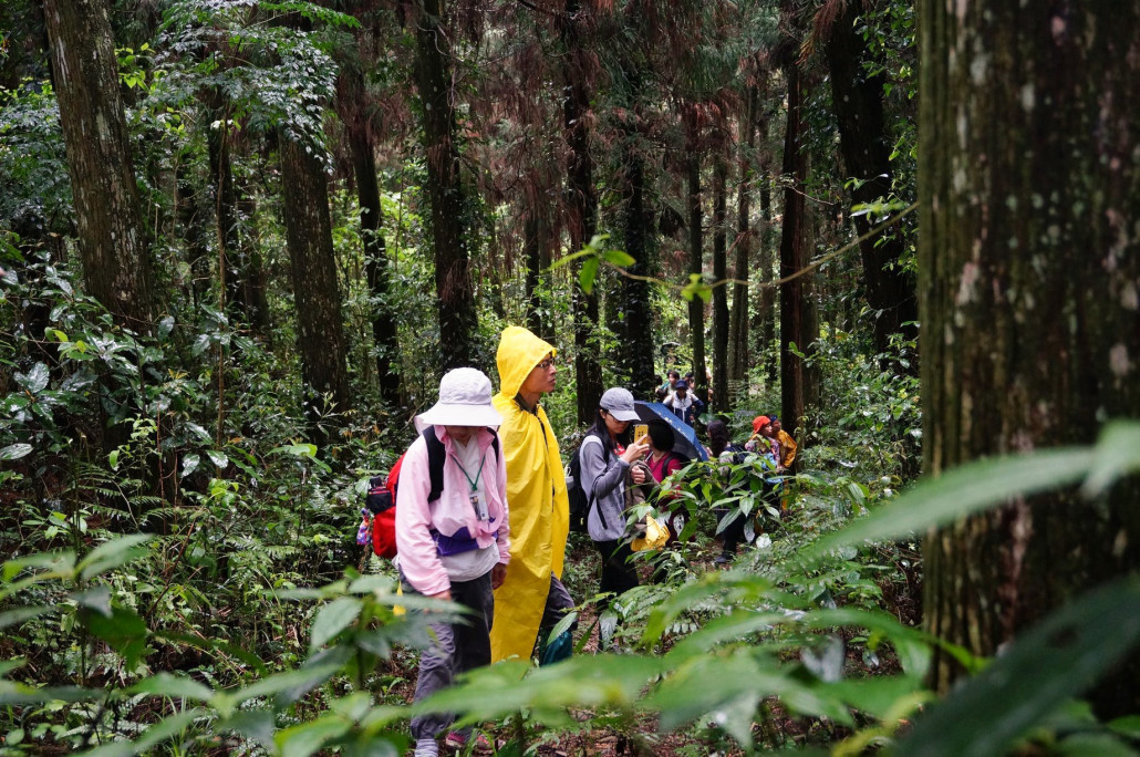 Walking into the woods allow people to reflect on the deforestation issue and the actions that can be taken