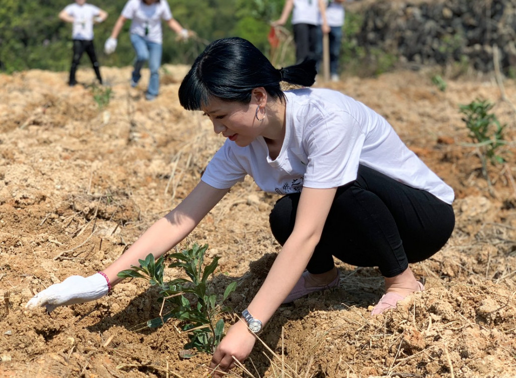 Holding the small seedlings in their hands and planting them in the ground