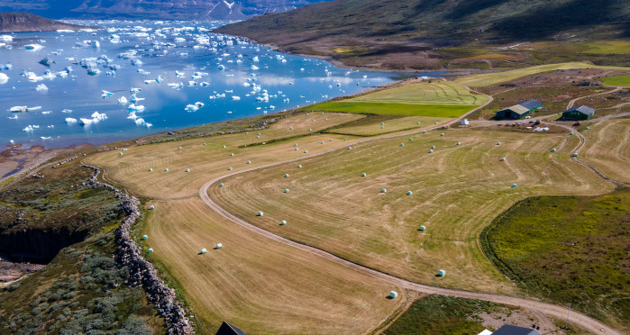 融冰後的綠地 顛覆人們對北極的想像