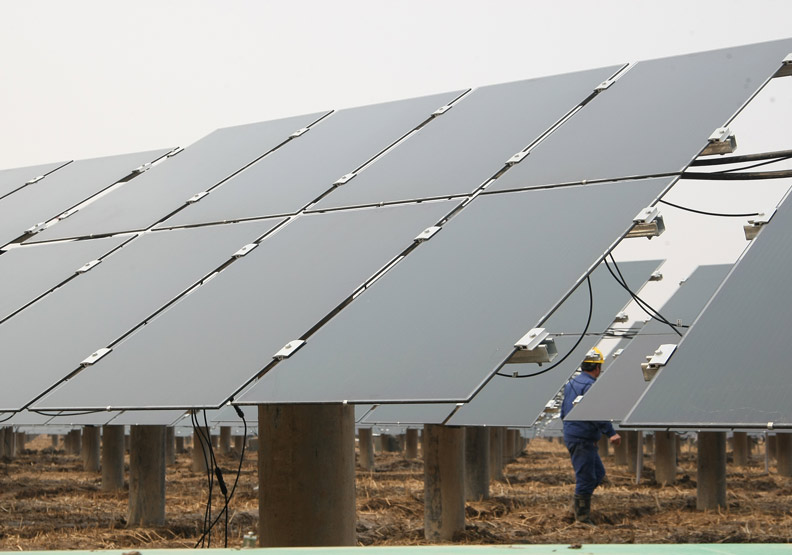 保護北極熊與興建太陽能廠，哪一個重要？