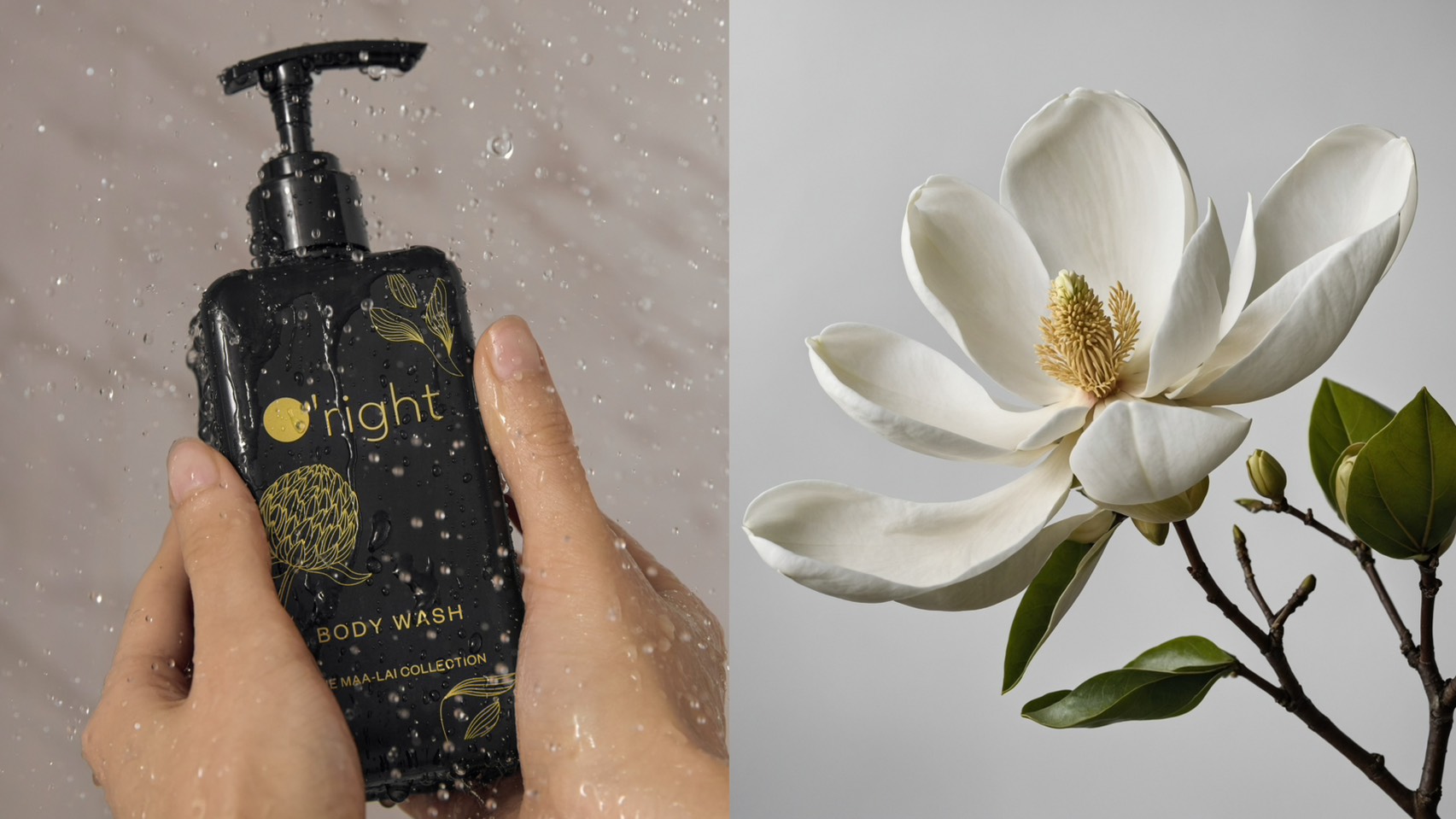 全球飯店領導品牌 IHG 集團旗下頂級飯店攜手台灣歐萊德 O’right導入永續洗沐，兩年目標減碳效益相當3.1萬棵大樹